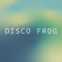 disco-frog-studio